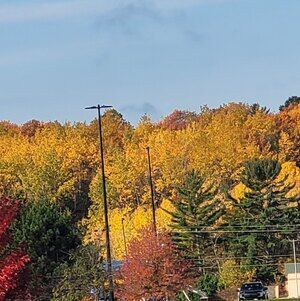 Meet your Posher, Renee